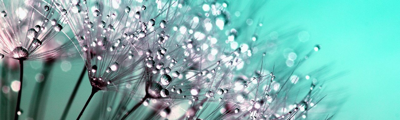 sophrologue certifiée, professionnel bien-être